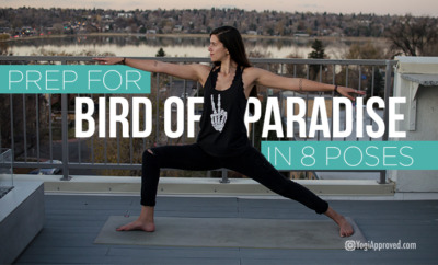 bird of paradise prep featured