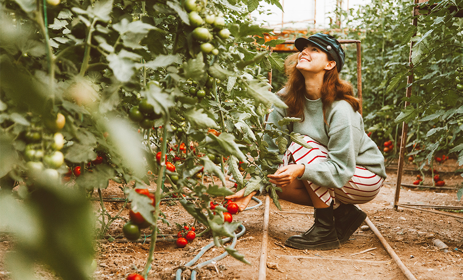 Community Supported Agriculture