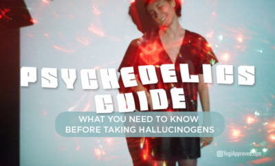 psychedelics guide featured