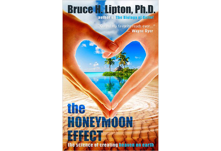 the honeymoon effect
